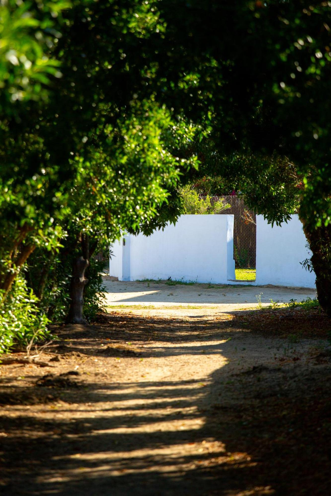 Casara Cinco - Hermosa Casa Con Vista Al Mar Y Acceso Privado A La Playa Саора Экстерьер фото